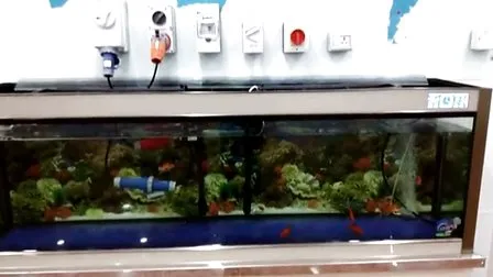 IP66 63A 4p Isolating Switch / Isolator Switch